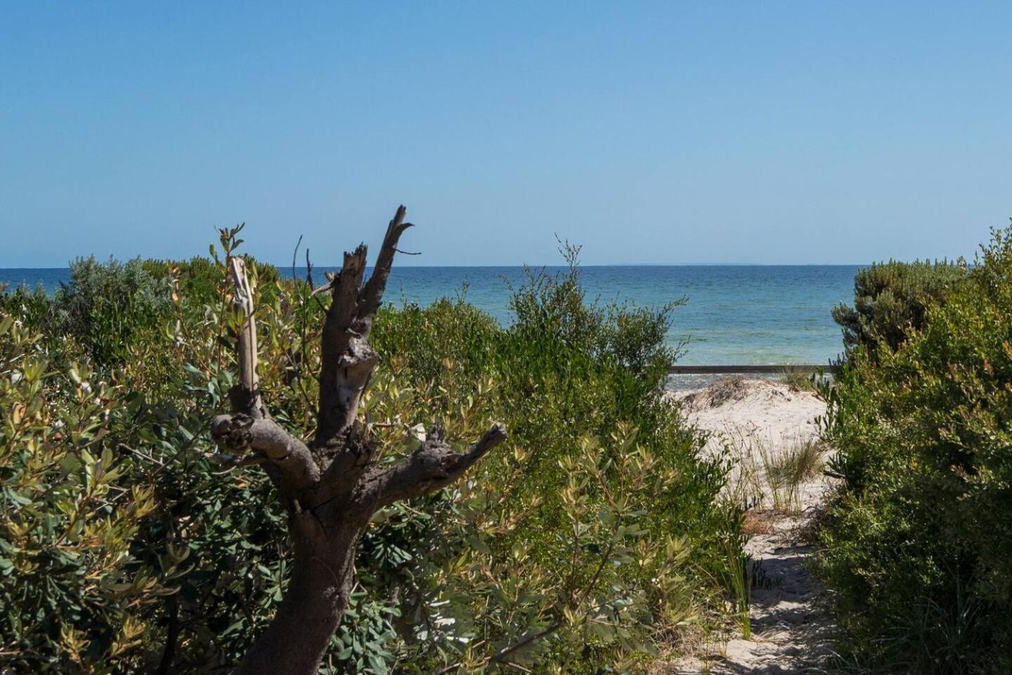 Villa Ti Tree House - Live Like A Bonbeach Local à Ville de Ville de Melbourne Extérieur photo